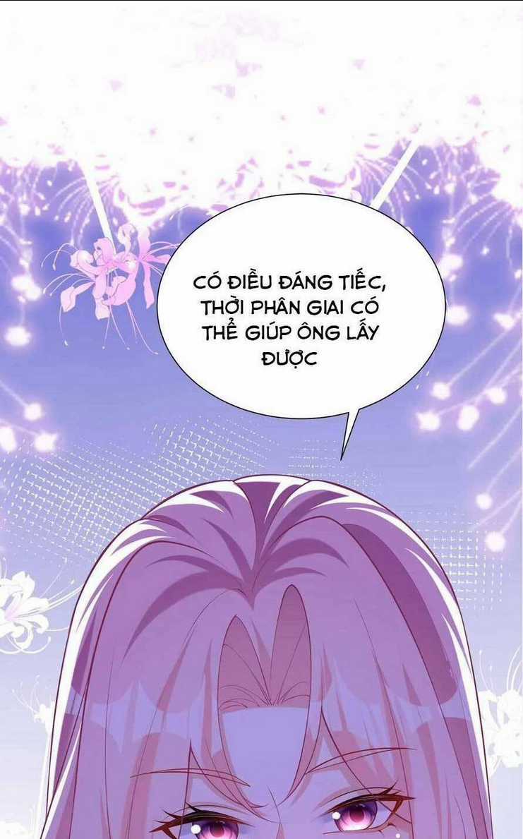 Tái Sinh Trở Lại : Chồng Cũ Khóc Lóc Cầu Xin Tái Hôn Chapter 159 trang 10