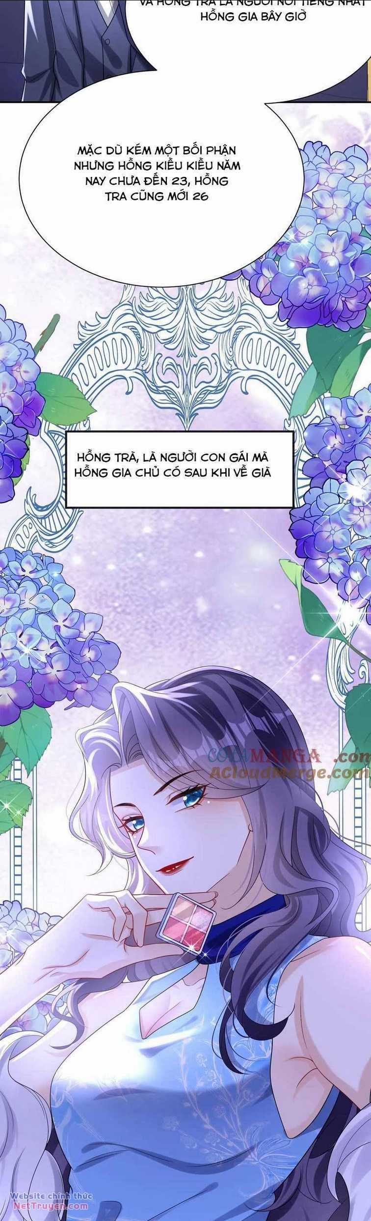 Tái Sinh Trở Lại : Chồng Cũ Khóc Lóc Cầu Xin Tái Hôn Chapter 167 trang 15