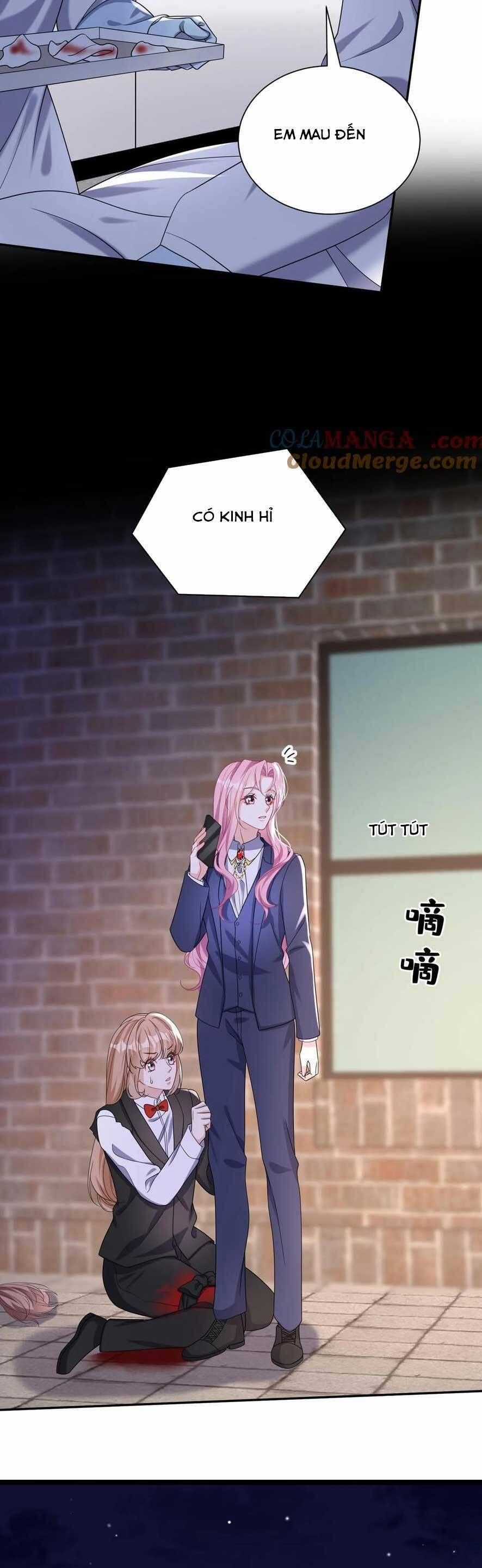 Tái Sinh Trở Lại : Chồng Cũ Khóc Lóc Cầu Xin Tái Hôn Chapter 169 trang 17