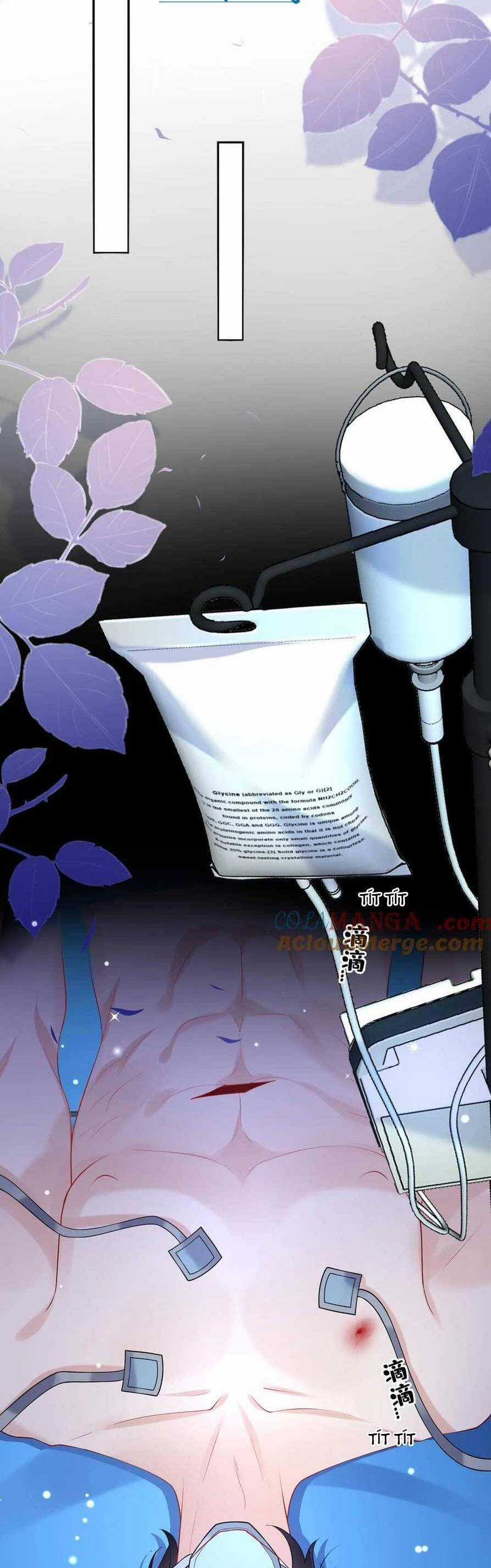 Tái Sinh Trở Lại : Chồng Cũ Khóc Lóc Cầu Xin Tái Hôn Chapter 170 trang 5