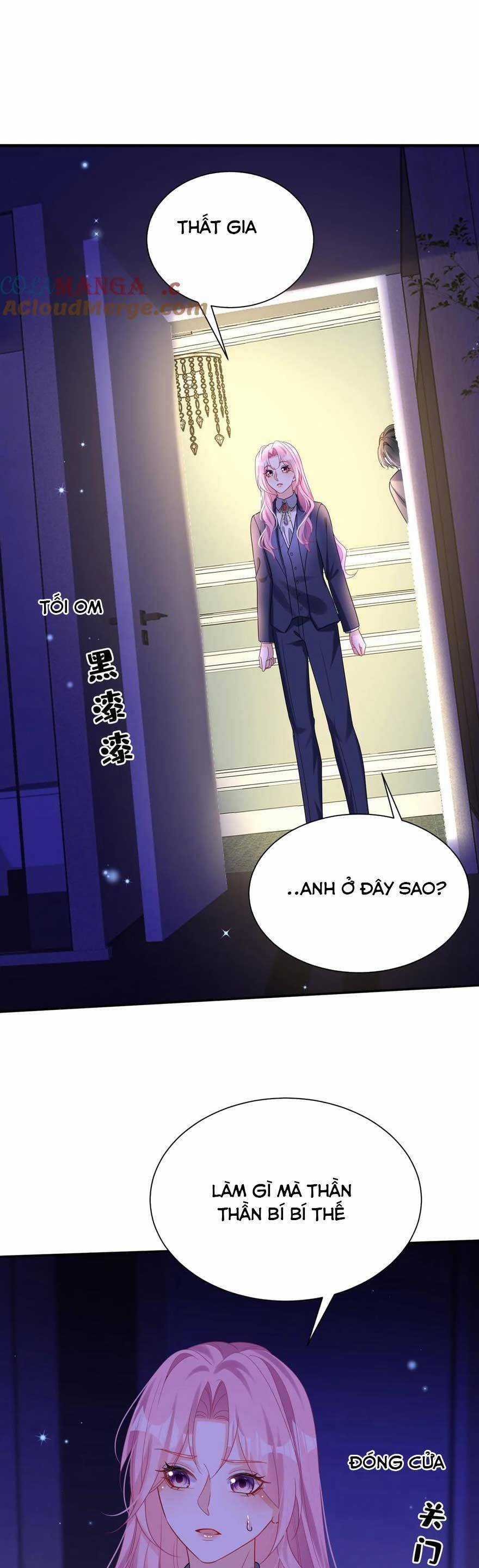 Tái Sinh Trở Lại : Chồng Cũ Khóc Lóc Cầu Xin Tái Hôn Chapter 171 trang 16