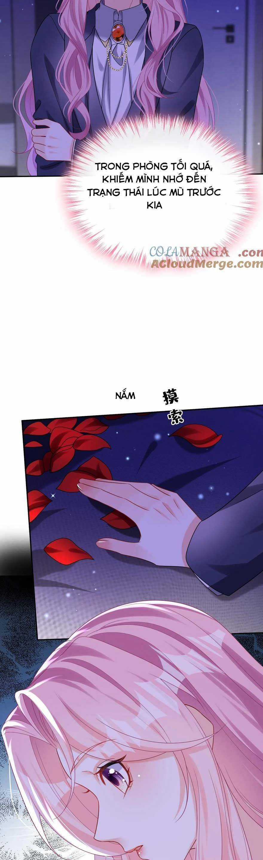 Tái Sinh Trở Lại : Chồng Cũ Khóc Lóc Cầu Xin Tái Hôn Chapter 171 trang 17