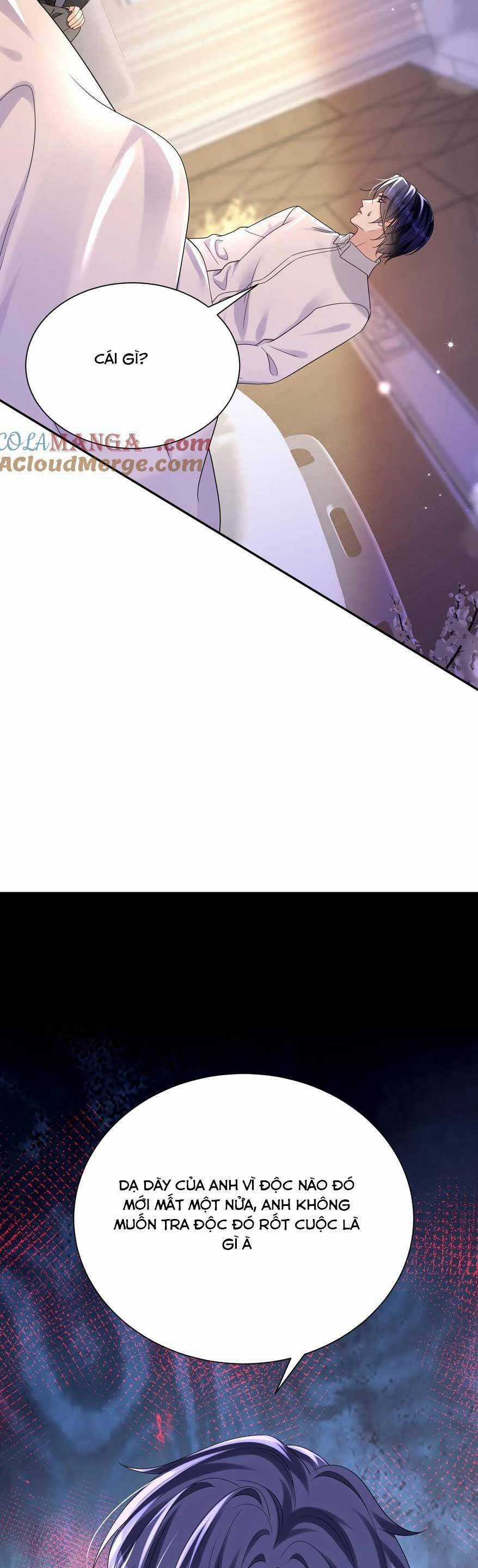 Tái Sinh Trở Lại : Chồng Cũ Khóc Lóc Cầu Xin Tái Hôn Chapter 175 trang 25