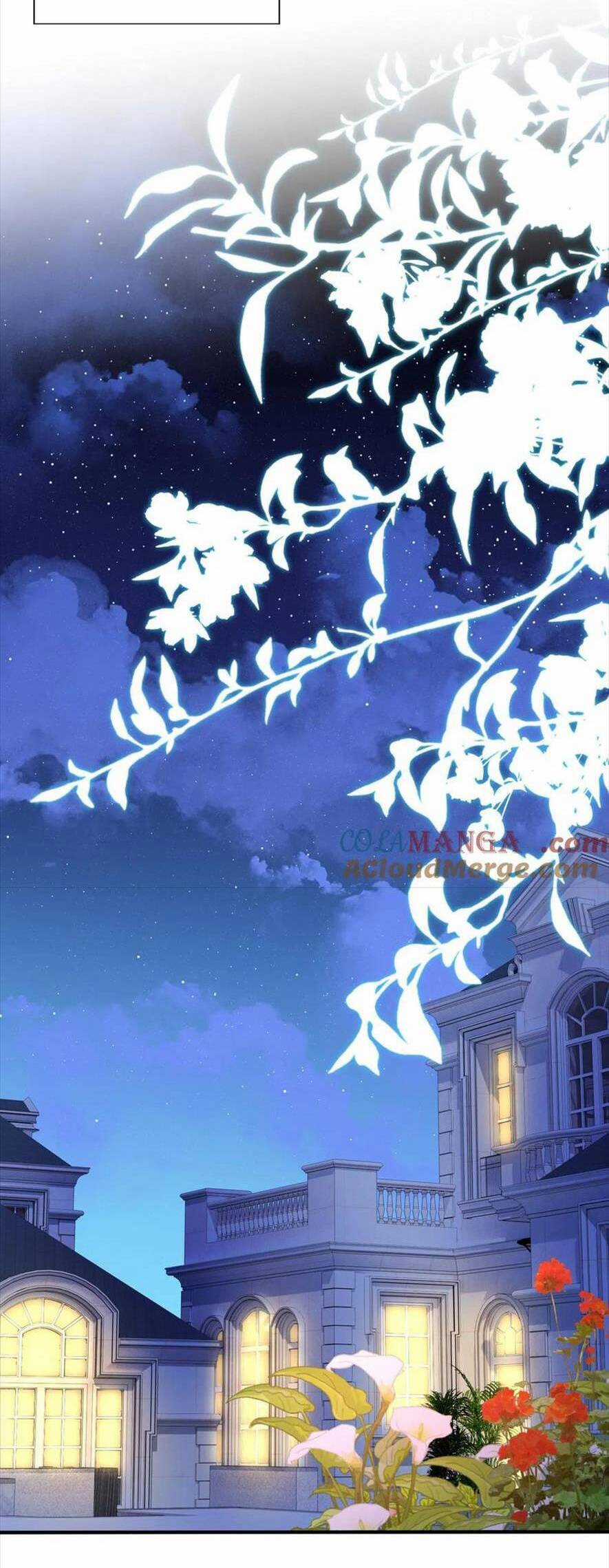 Tái Sinh Trở Lại : Chồng Cũ Khóc Lóc Cầu Xin Tái Hôn Chapter 182 trang 7