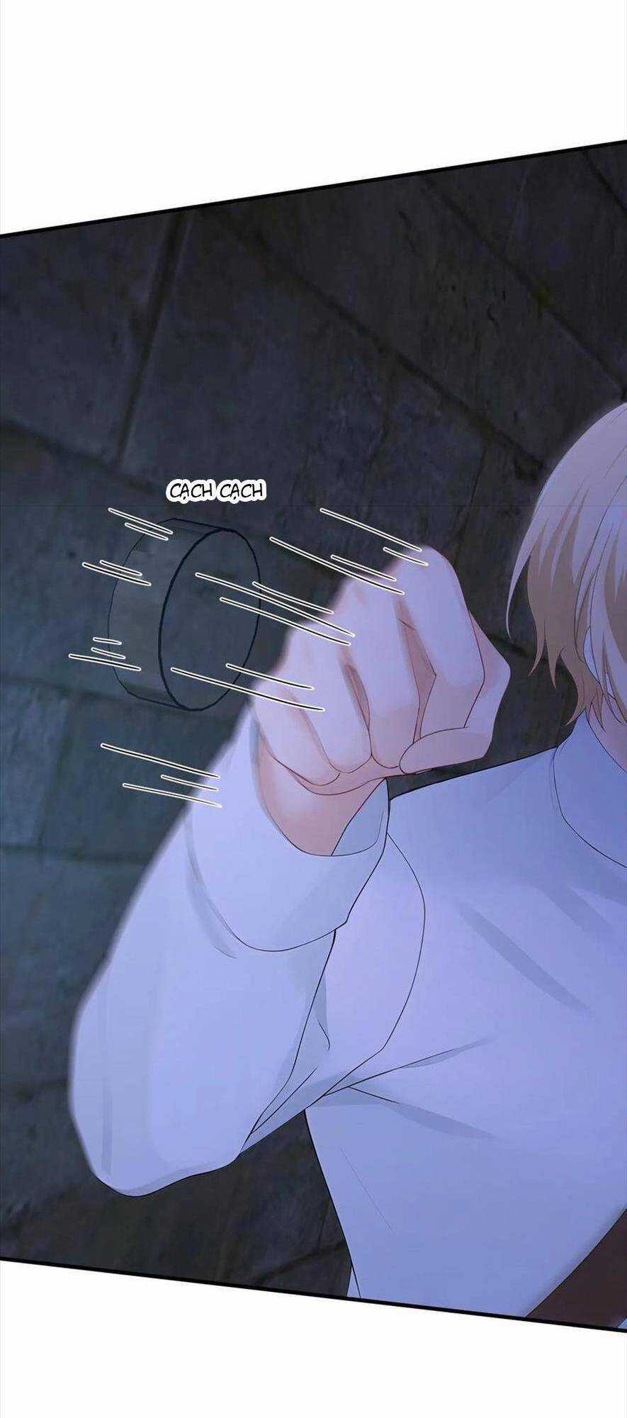 Tái Sinh Trở Lại : Chồng Cũ Khóc Lóc Cầu Xin Tái Hôn Chapter 189 trang 12