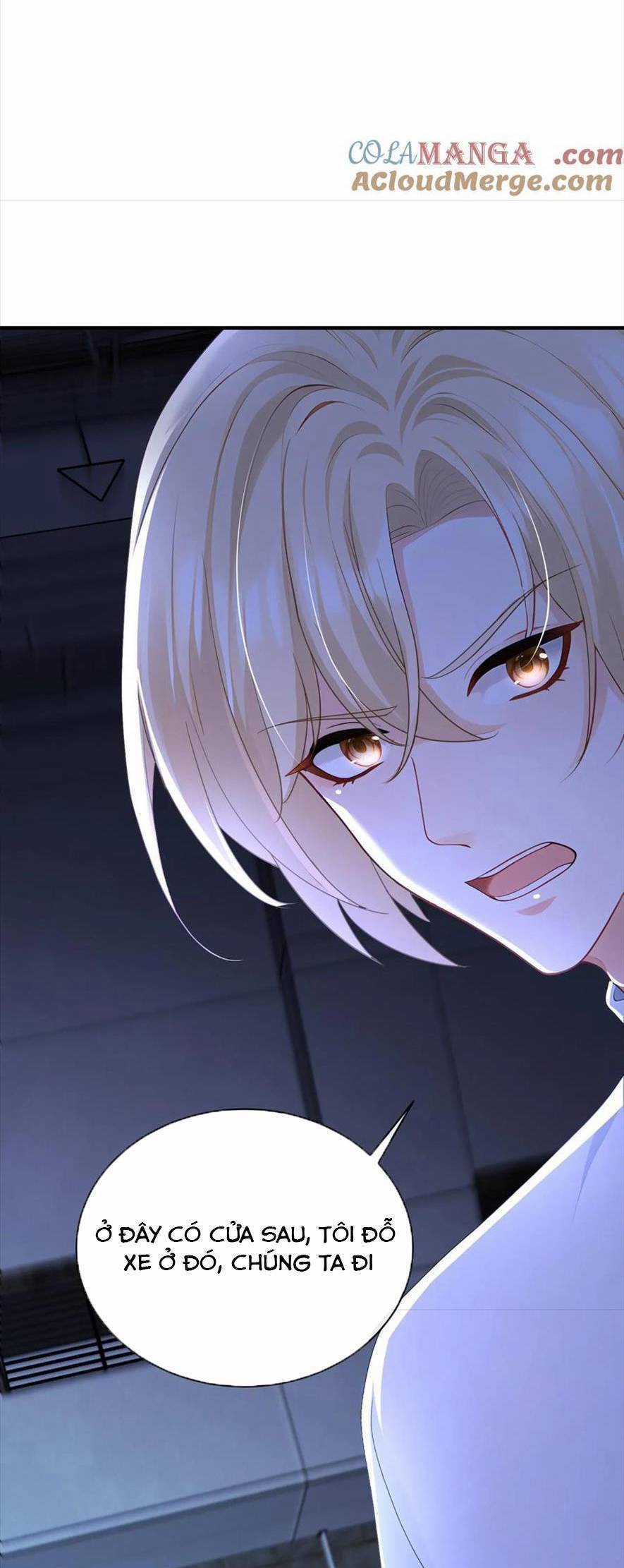 Tái Sinh Trở Lại : Chồng Cũ Khóc Lóc Cầu Xin Tái Hôn Chapter 189 trang 13