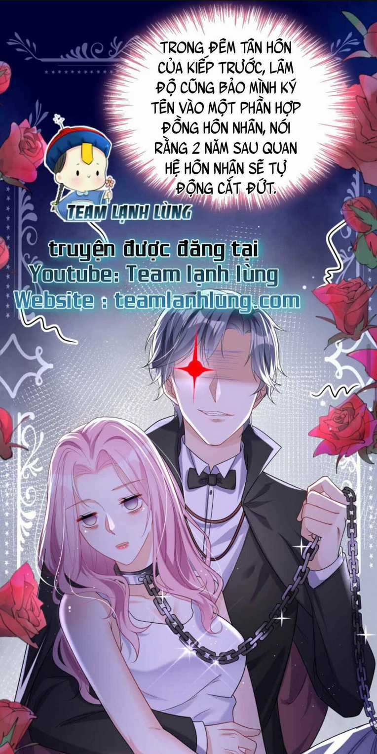 Tái Sinh Trở Lại : Chồng Cũ Khóc Lóc Cầu Xin Tái Hôn Chapter 19 trang 12