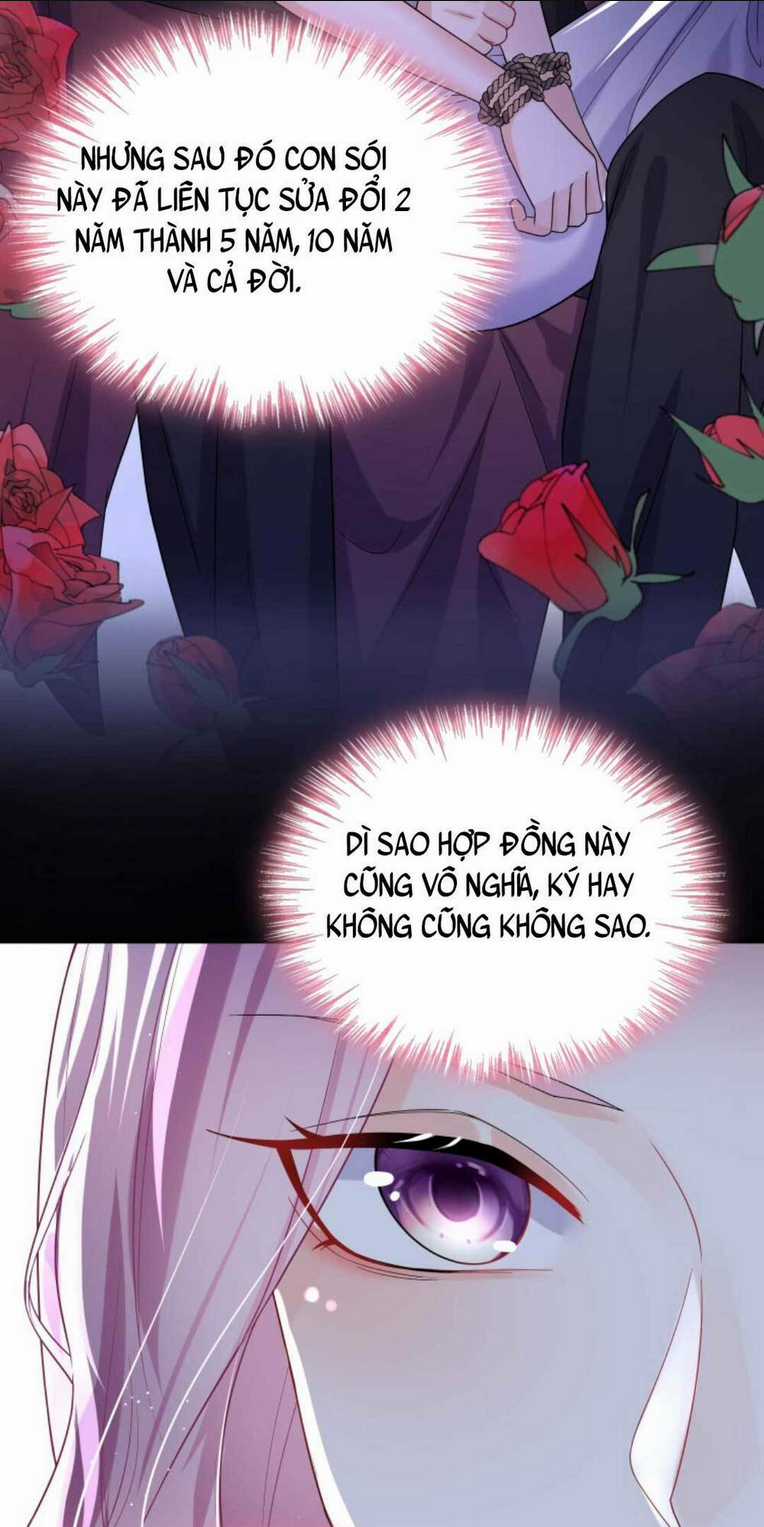 Tái Sinh Trở Lại : Chồng Cũ Khóc Lóc Cầu Xin Tái Hôn Chapter 19 trang 13