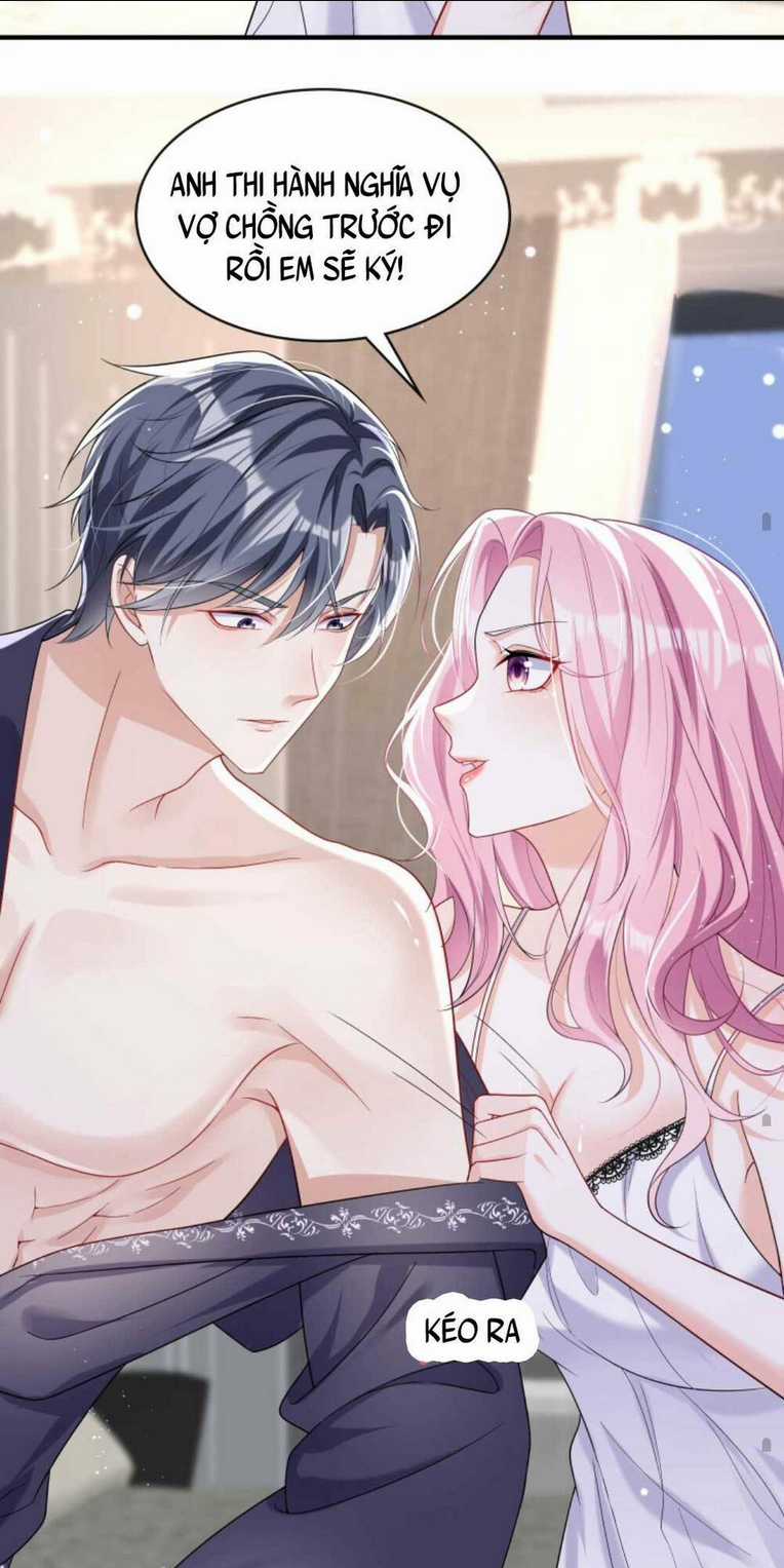 Tái Sinh Trở Lại : Chồng Cũ Khóc Lóc Cầu Xin Tái Hôn Chapter 19 trang 15