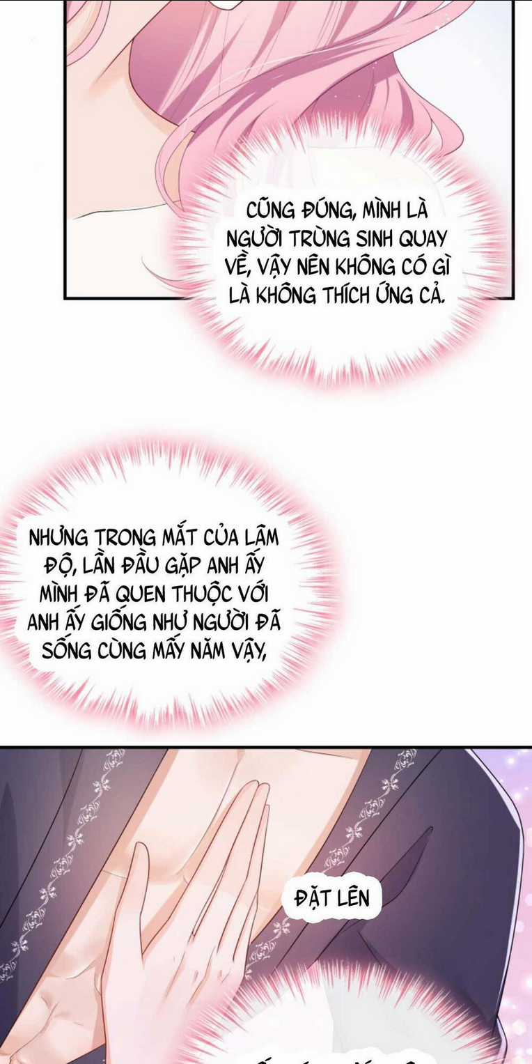 Tái Sinh Trở Lại : Chồng Cũ Khóc Lóc Cầu Xin Tái Hôn Chapter 19 trang 5