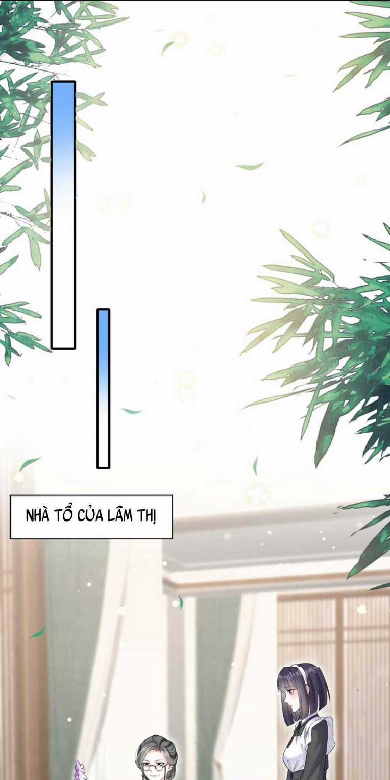 Tái Sinh Trở Lại : Chồng Cũ Khóc Lóc Cầu Xin Tái Hôn Chapter 21 trang 13