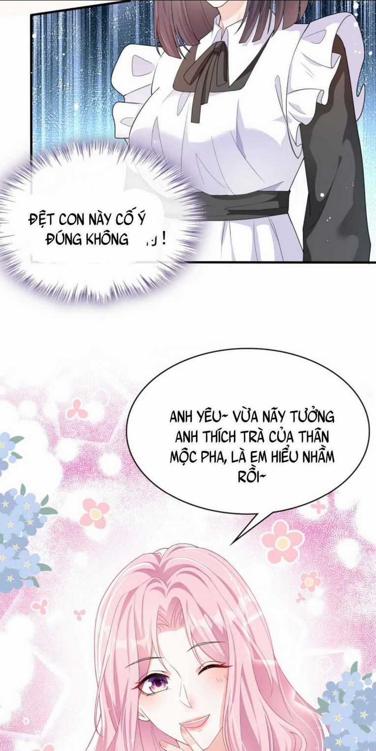 Tái Sinh Trở Lại : Chồng Cũ Khóc Lóc Cầu Xin Tái Hôn Chapter 24 trang 10