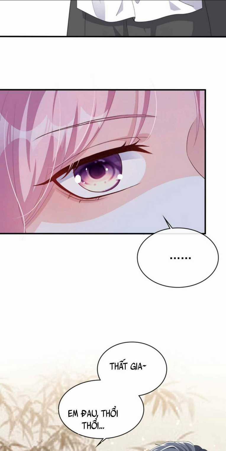 Tái Sinh Trở Lại : Chồng Cũ Khóc Lóc Cầu Xin Tái Hôn Chapter 24 trang 5