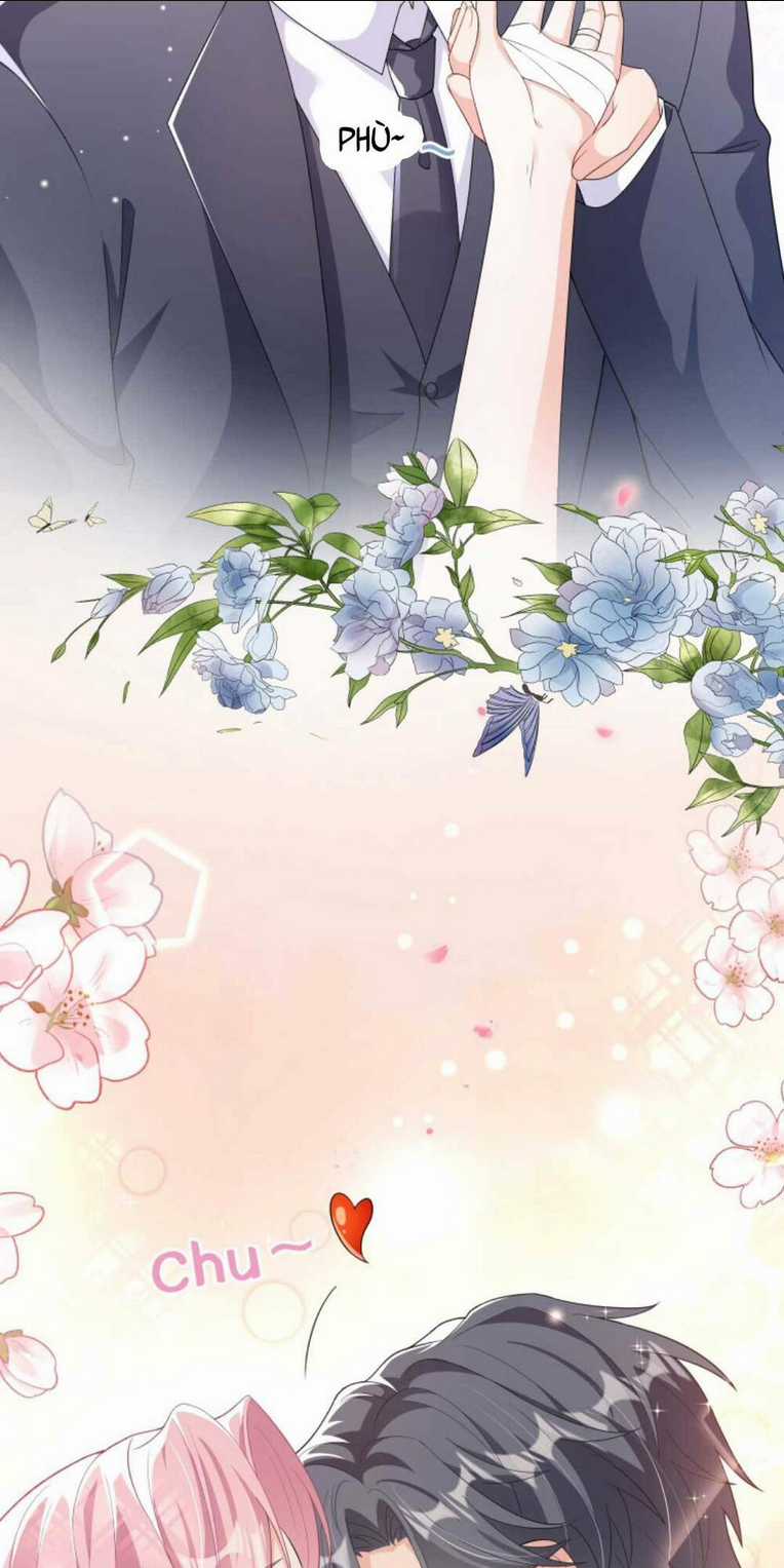 Tái Sinh Trở Lại : Chồng Cũ Khóc Lóc Cầu Xin Tái Hôn Chapter 24 trang 8