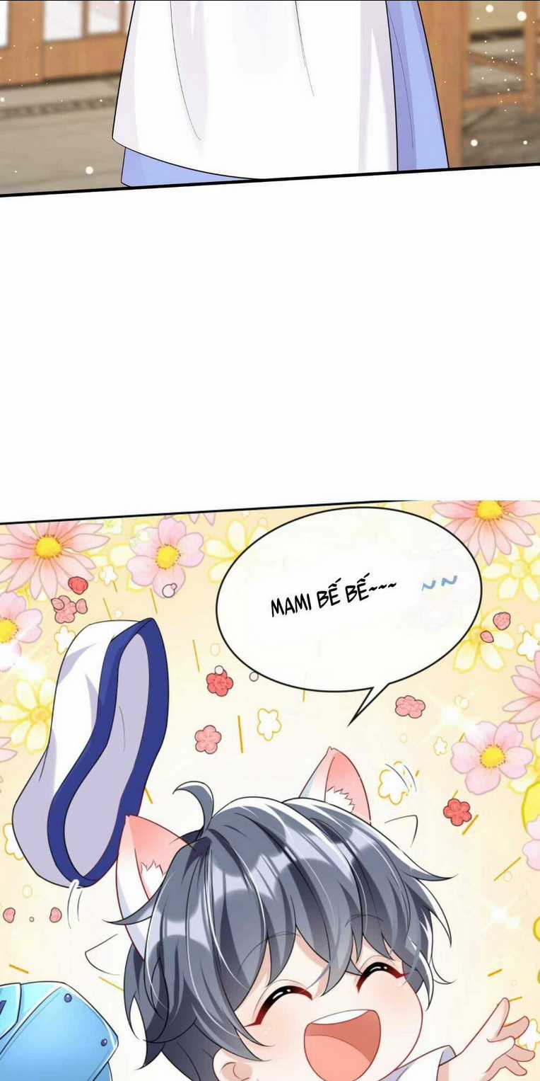 Tái Sinh Trở Lại : Chồng Cũ Khóc Lóc Cầu Xin Tái Hôn Chapter 25 trang 19