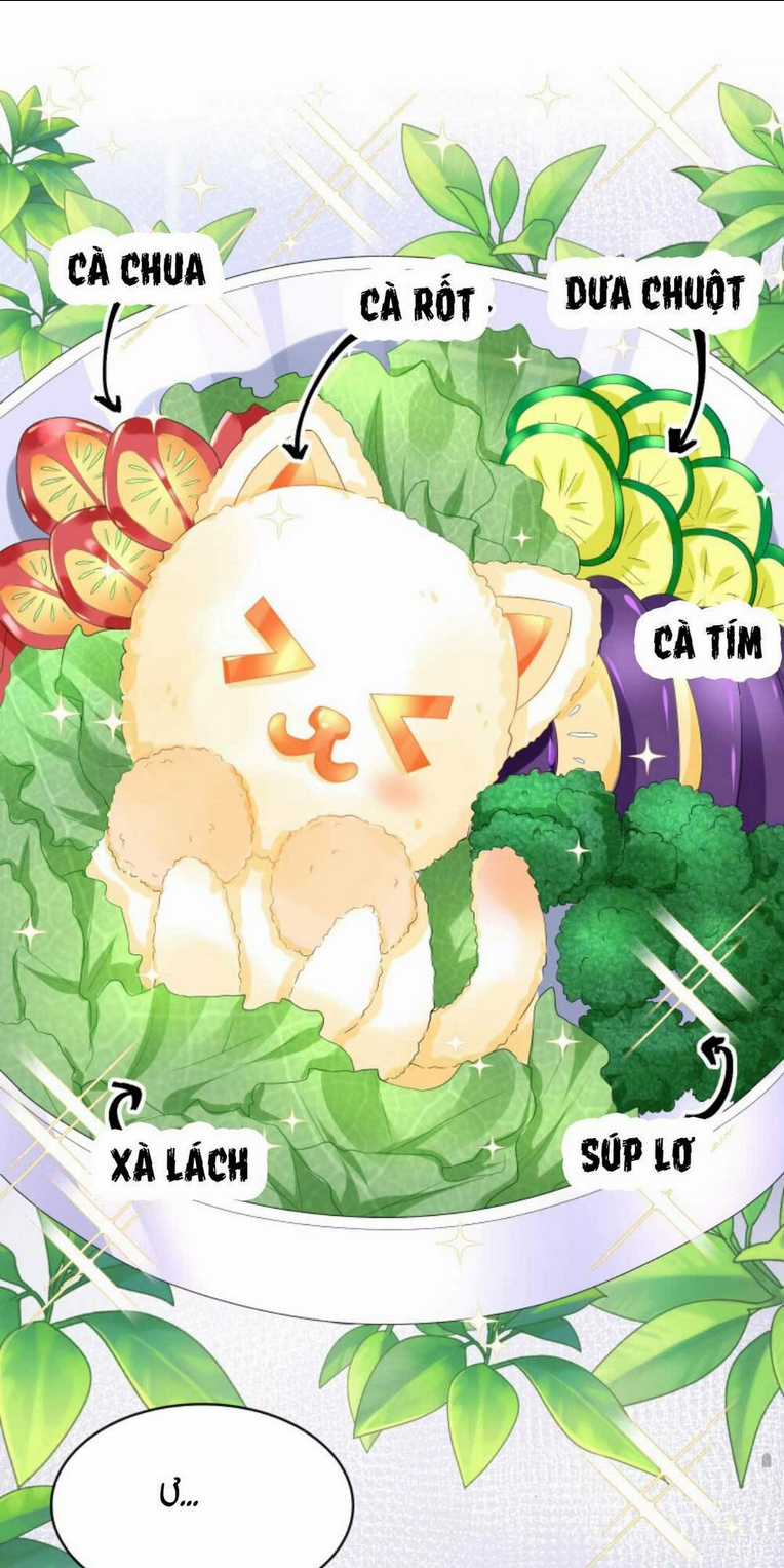 Tái Sinh Trở Lại : Chồng Cũ Khóc Lóc Cầu Xin Tái Hôn Chapter 26 trang 12