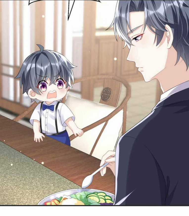 Tái Sinh Trở Lại : Chồng Cũ Khóc Lóc Cầu Xin Tái Hôn Chapter 26 trang 21