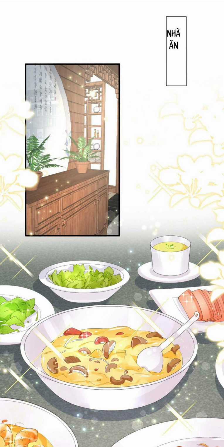 Tái Sinh Trở Lại : Chồng Cũ Khóc Lóc Cầu Xin Tái Hôn Chapter 26 trang 7