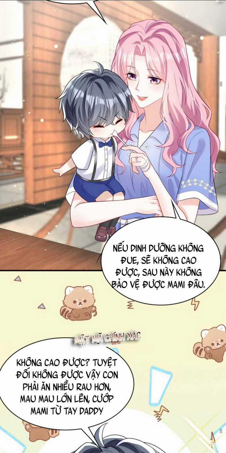 Tái Sinh Trở Lại : Chồng Cũ Khóc Lóc Cầu Xin Tái Hôn Chapter 27 trang 15
