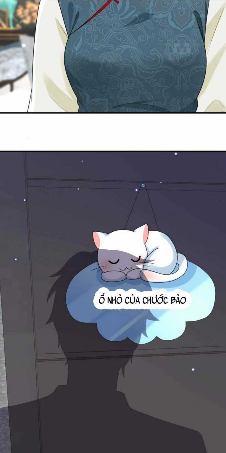 Tái Sinh Trở Lại : Chồng Cũ Khóc Lóc Cầu Xin Tái Hôn Chapter 28 trang 29