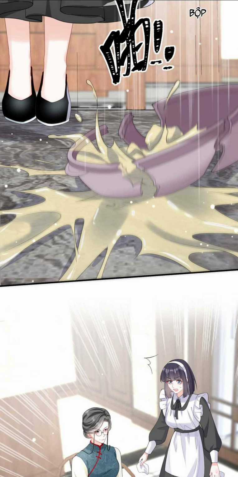 Tái Sinh Trở Lại : Chồng Cũ Khóc Lóc Cầu Xin Tái Hôn Chapter 28 trang 3