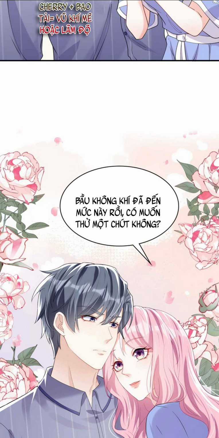 Tái Sinh Trở Lại : Chồng Cũ Khóc Lóc Cầu Xin Tái Hôn Chapter 30 trang 4