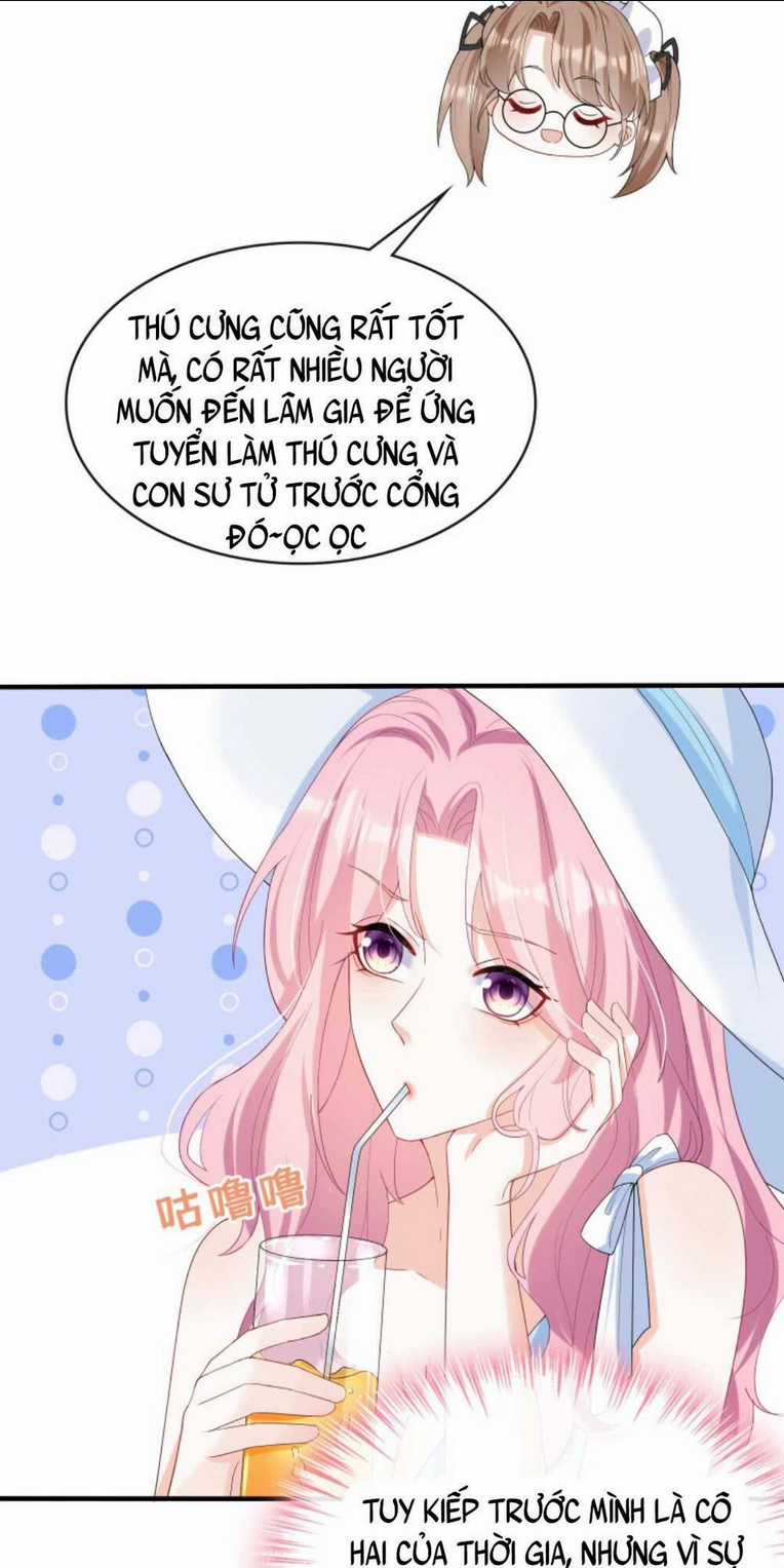 Tái Sinh Trở Lại : Chồng Cũ Khóc Lóc Cầu Xin Tái Hôn Chapter 32 trang 7