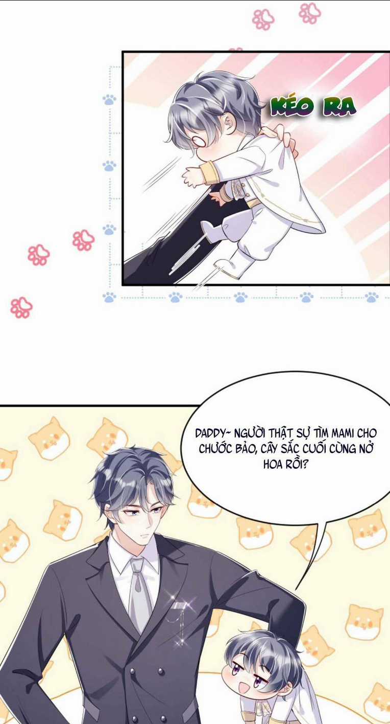 Tái Sinh Trở Lại : Chồng Cũ Khóc Lóc Cầu Xin Tái Hôn Chapter 4 trang 10