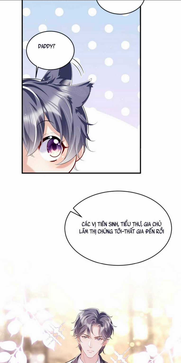 Tái Sinh Trở Lại : Chồng Cũ Khóc Lóc Cầu Xin Tái Hôn Chapter 4 trang 3