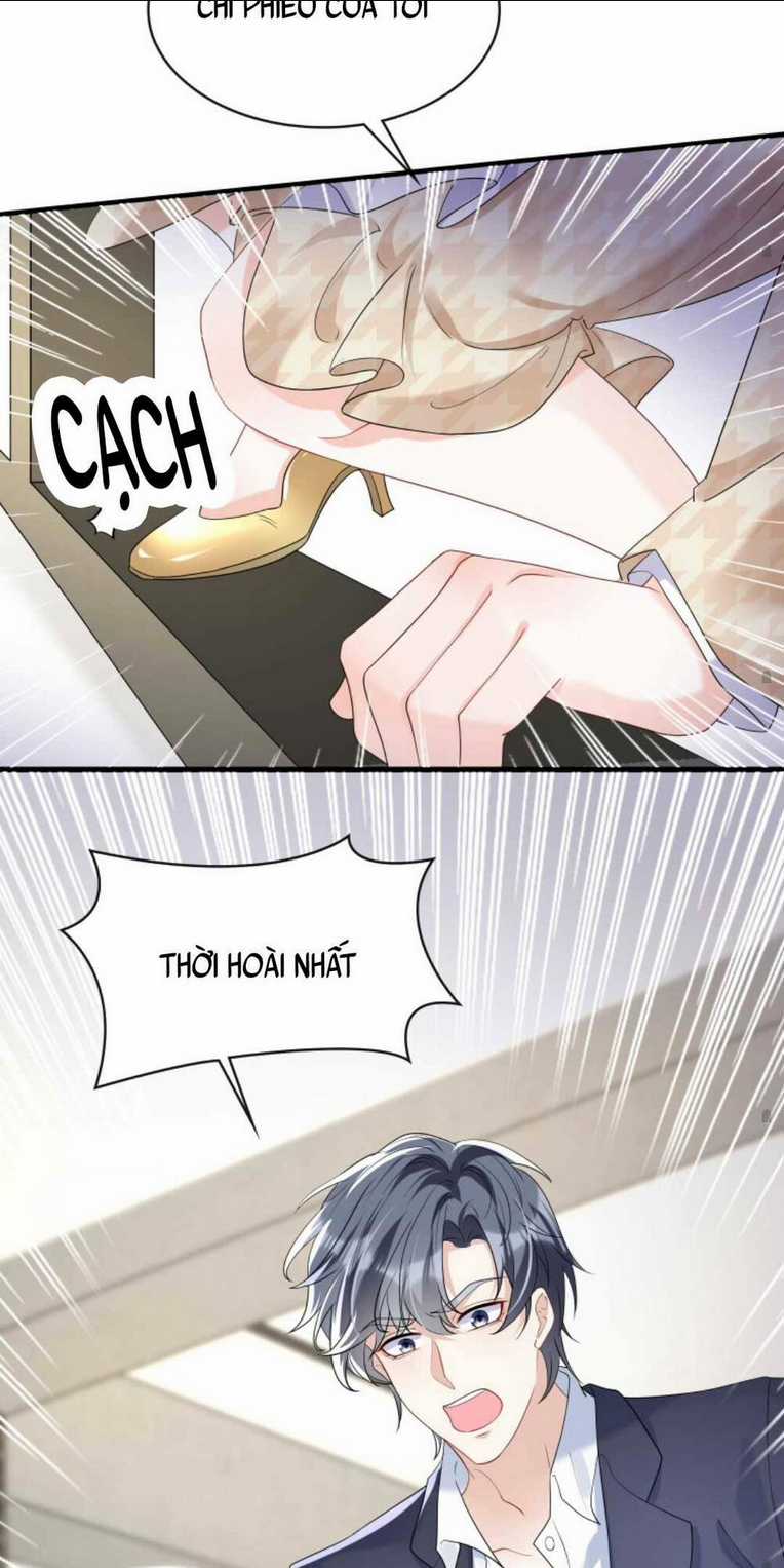 Tái Sinh Trở Lại : Chồng Cũ Khóc Lóc Cầu Xin Tái Hôn Chapter 40 trang 19