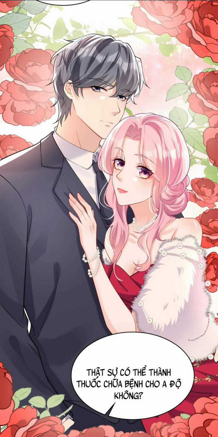 Tái Sinh Trở Lại : Chồng Cũ Khóc Lóc Cầu Xin Tái Hôn Chapter 41 trang 12