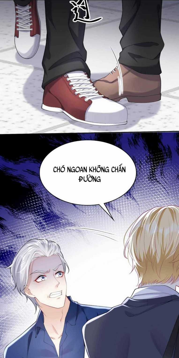 Tái Sinh Trở Lại : Chồng Cũ Khóc Lóc Cầu Xin Tái Hôn Chapter 41 trang 20