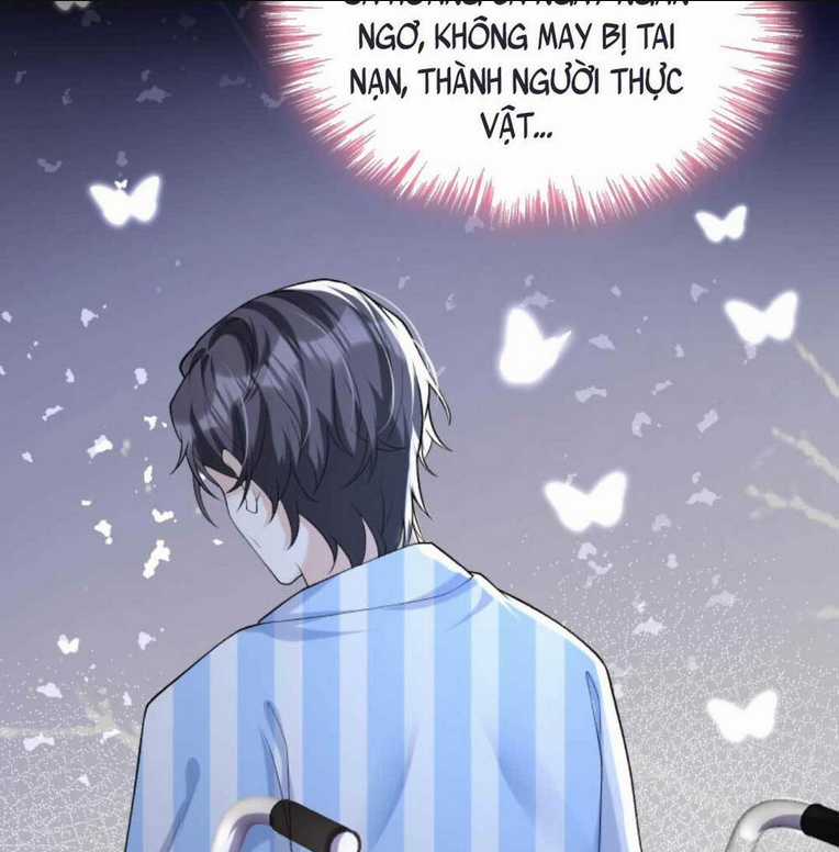 Tái Sinh Trở Lại : Chồng Cũ Khóc Lóc Cầu Xin Tái Hôn Chapter 42 trang 33