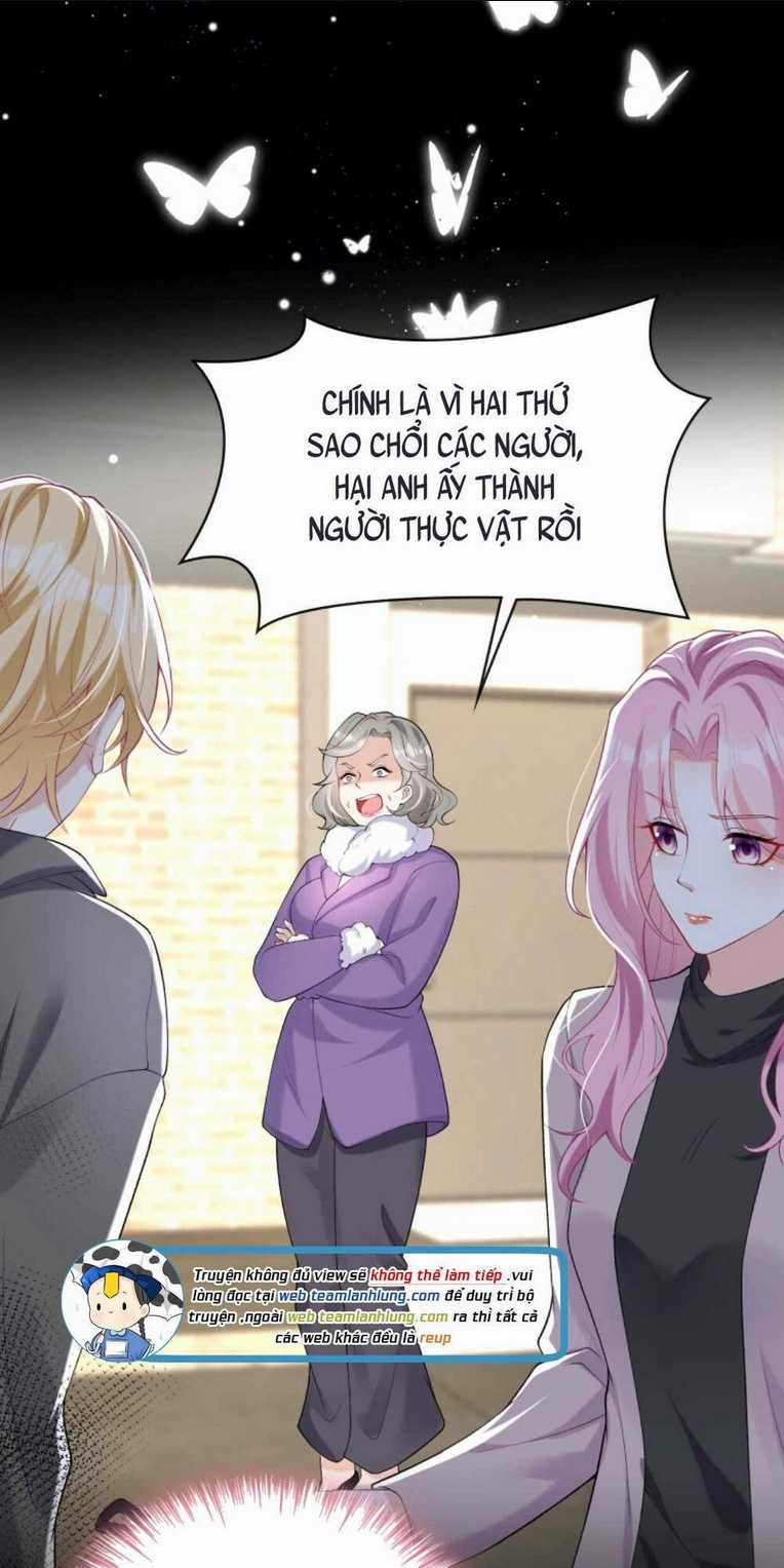 Tái Sinh Trở Lại : Chồng Cũ Khóc Lóc Cầu Xin Tái Hôn Chapter 42 trang 35