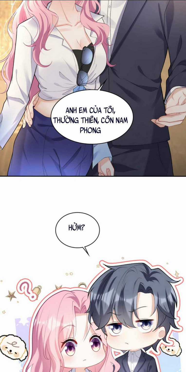 Tái Sinh Trở Lại : Chồng Cũ Khóc Lóc Cầu Xin Tái Hôn Chapter 44 trang 3