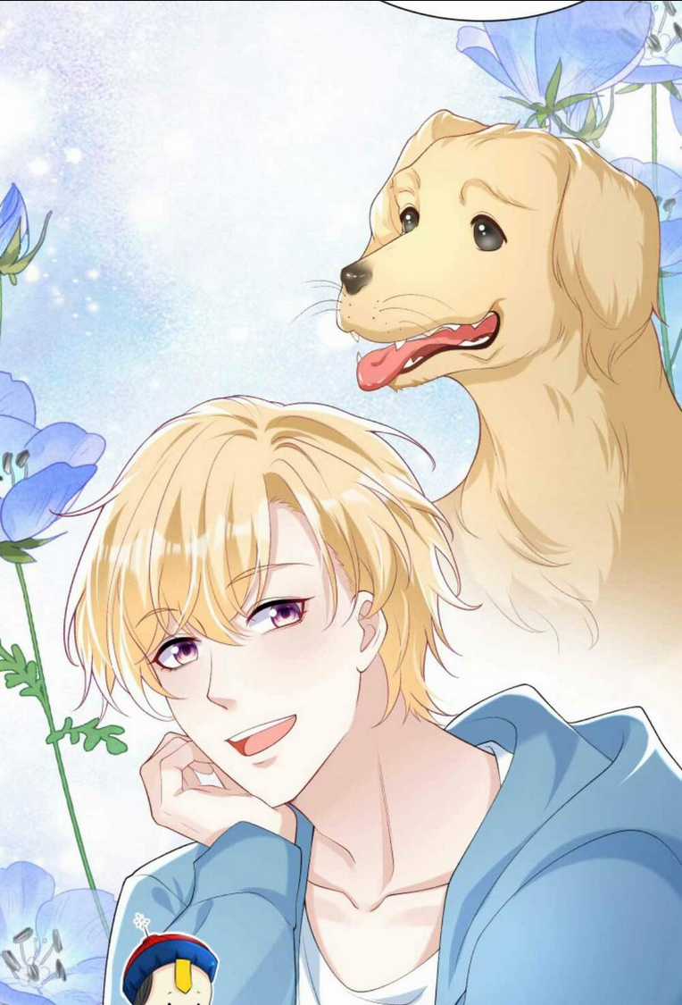 Tái Sinh Trở Lại : Chồng Cũ Khóc Lóc Cầu Xin Tái Hôn Chapter 49 trang 11