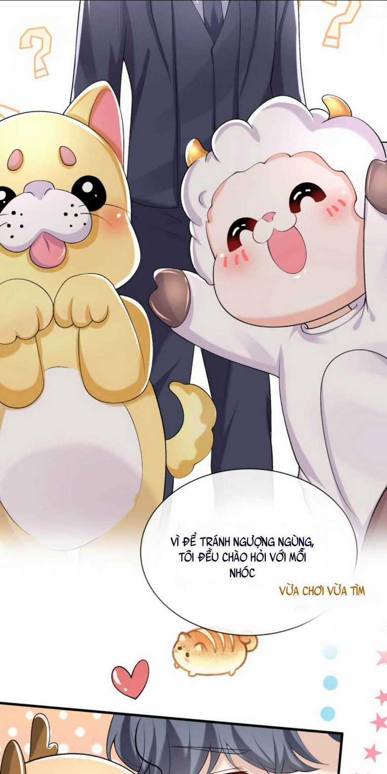 Tái Sinh Trở Lại : Chồng Cũ Khóc Lóc Cầu Xin Tái Hôn Chapter 49 trang 4