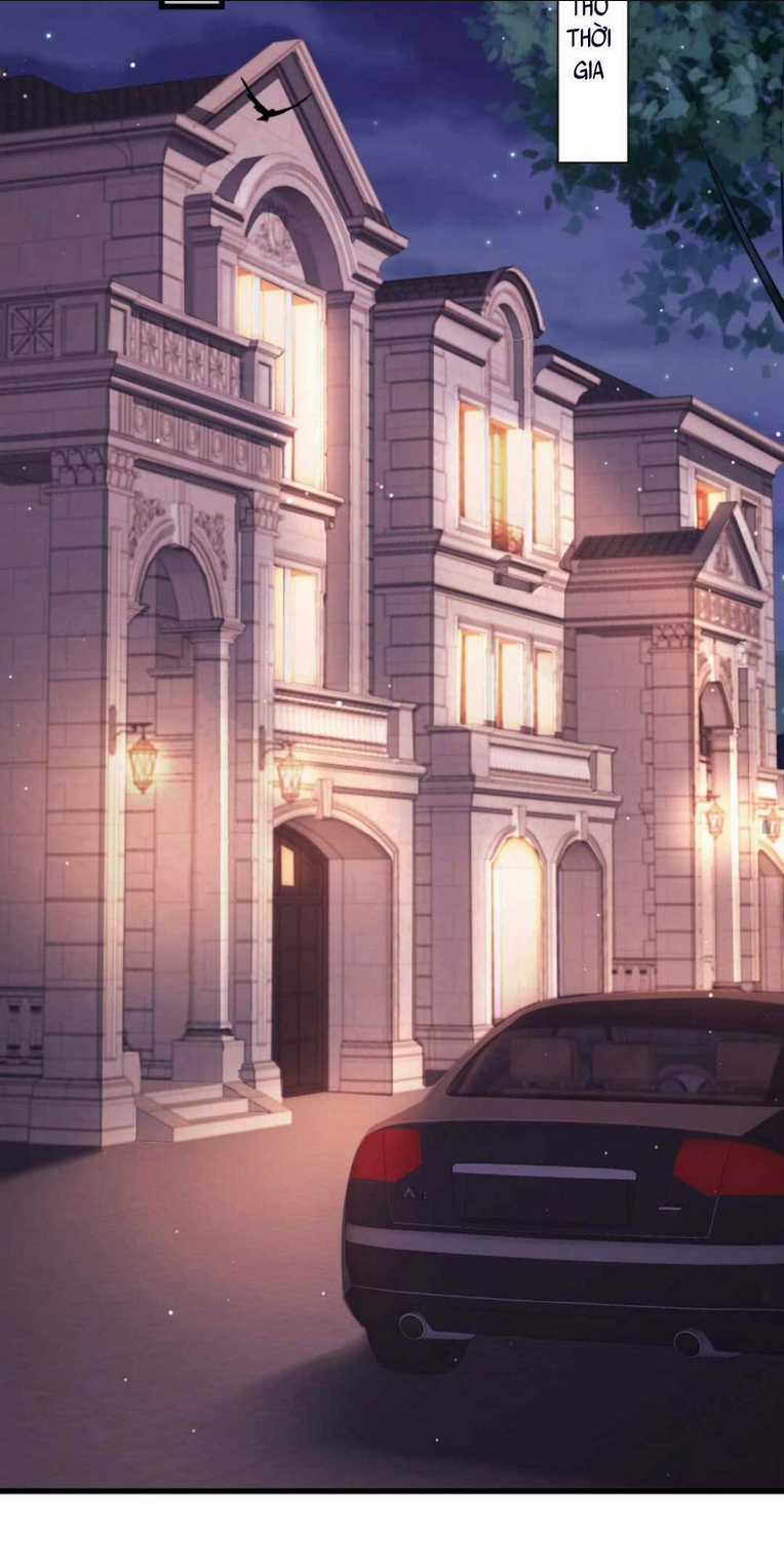 Tái Sinh Trở Lại : Chồng Cũ Khóc Lóc Cầu Xin Tái Hôn Chapter 5 trang 23