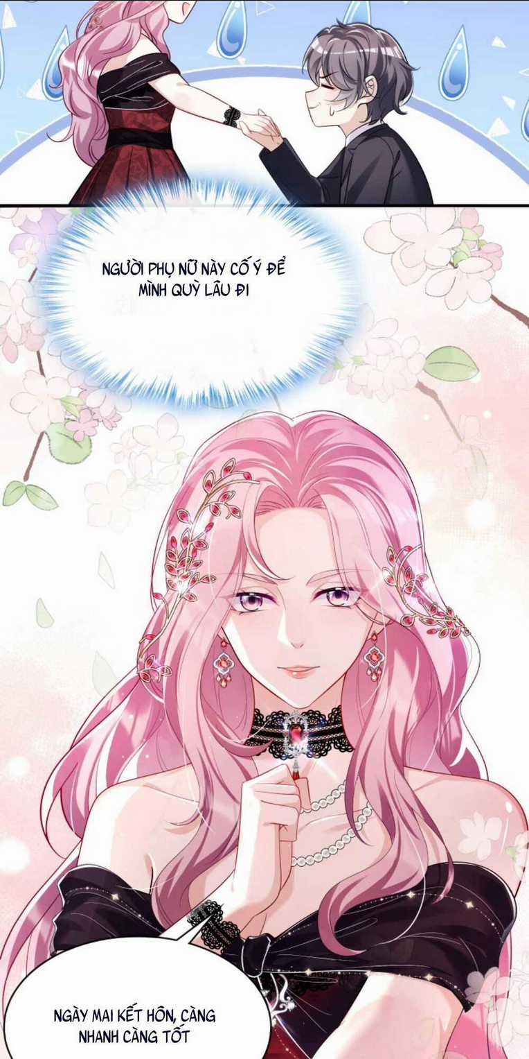 Tái Sinh Trở Lại : Chồng Cũ Khóc Lóc Cầu Xin Tái Hôn Chapter 5 trang 6