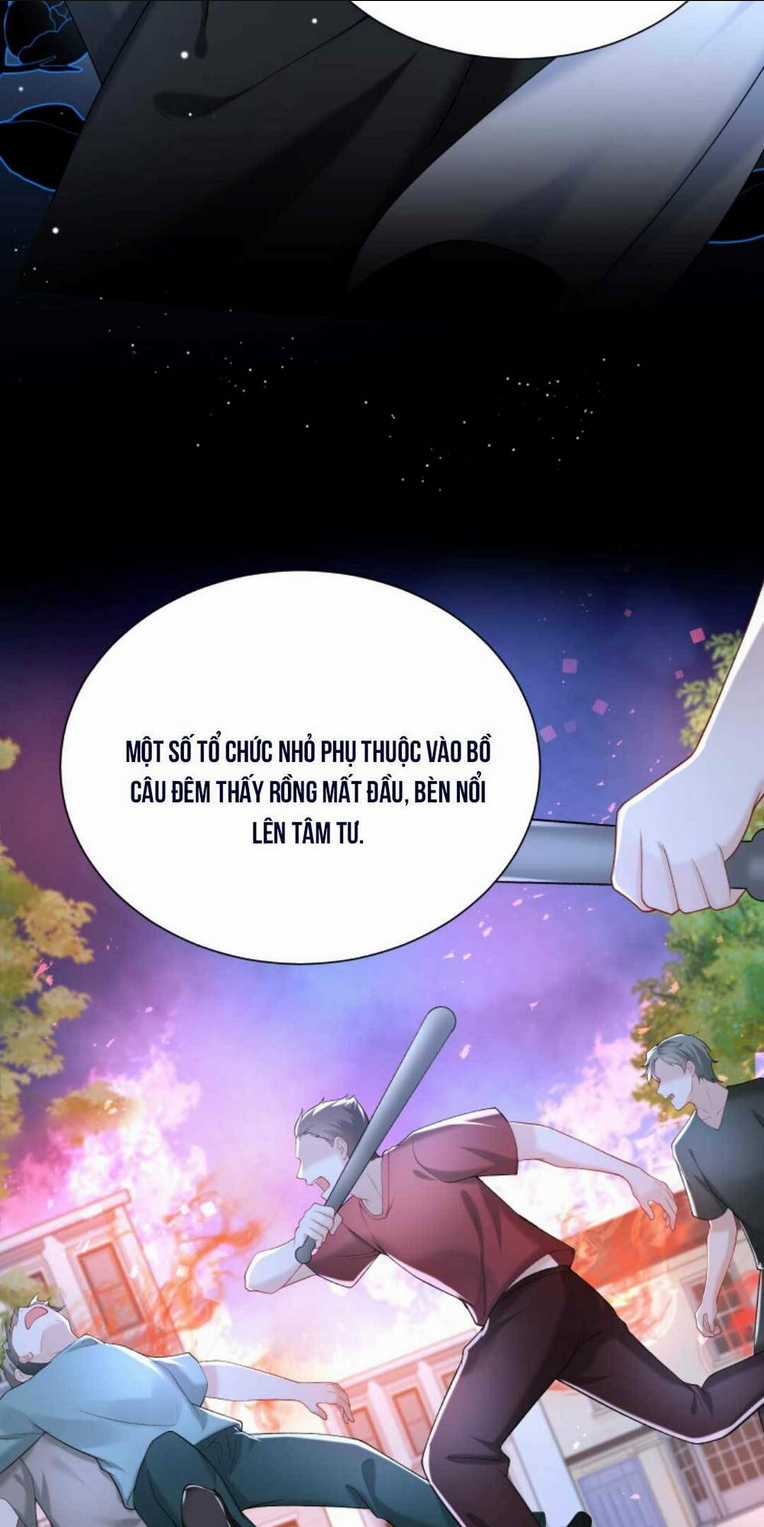 Tái Sinh Trở Lại : Chồng Cũ Khóc Lóc Cầu Xin Tái Hôn Chapter 52 trang 6