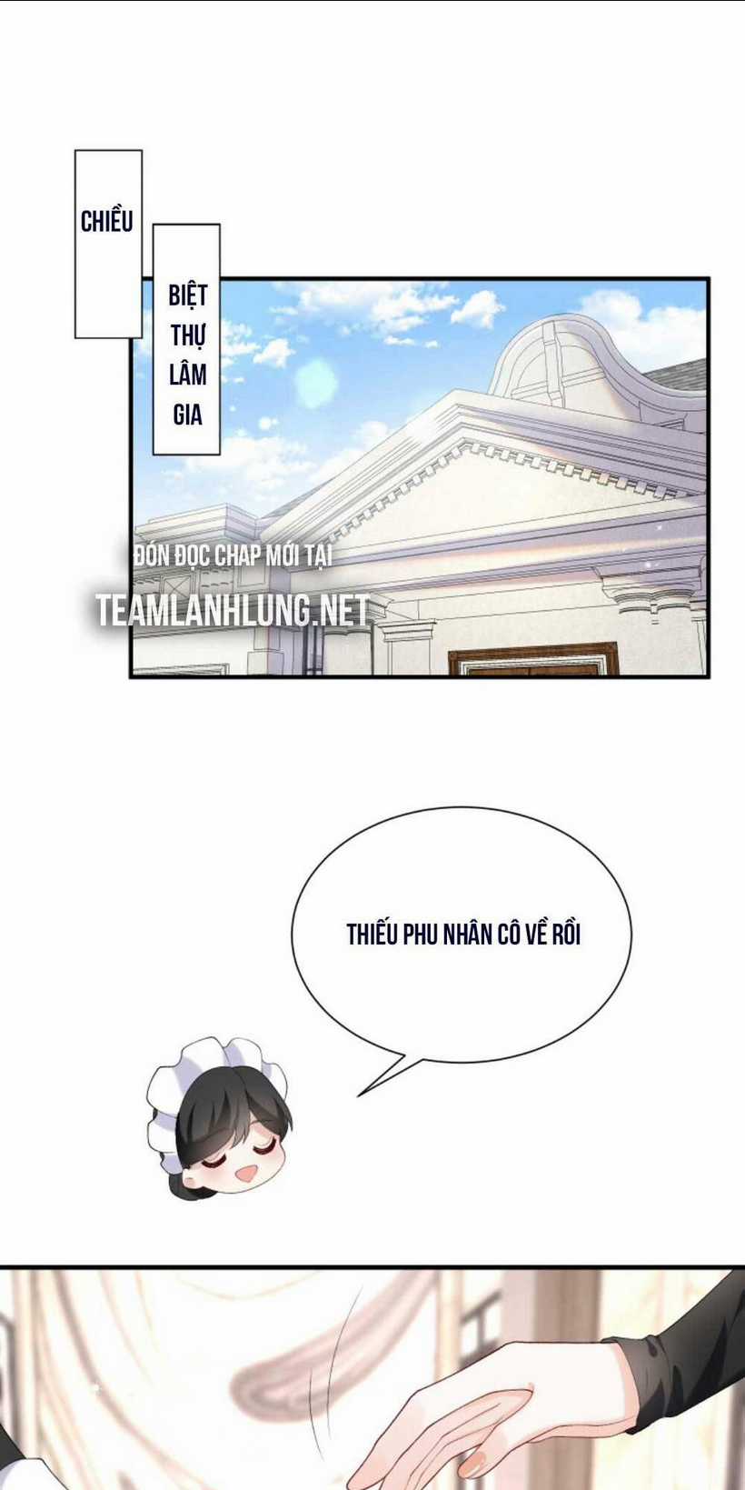 Tái Sinh Trở Lại : Chồng Cũ Khóc Lóc Cầu Xin Tái Hôn Chapter 57 trang 5