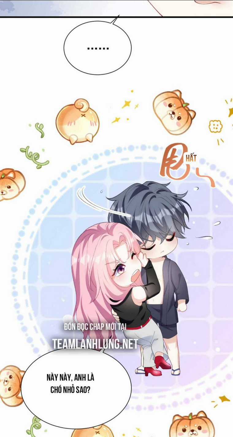 Tái Sinh Trở Lại : Chồng Cũ Khóc Lóc Cầu Xin Tái Hôn Chapter 58 trang 14