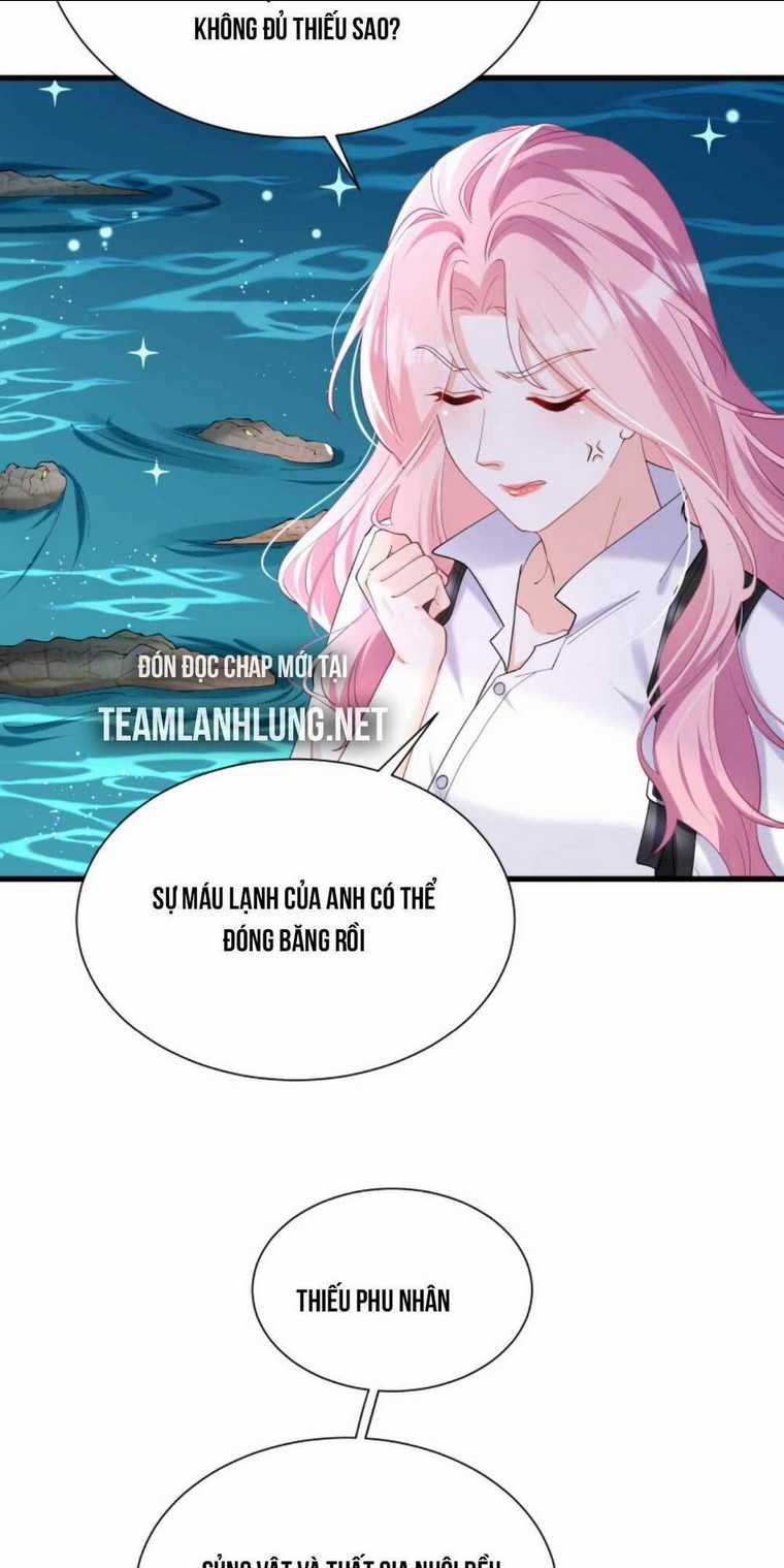 Tái Sinh Trở Lại : Chồng Cũ Khóc Lóc Cầu Xin Tái Hôn Chapter 58 trang 29