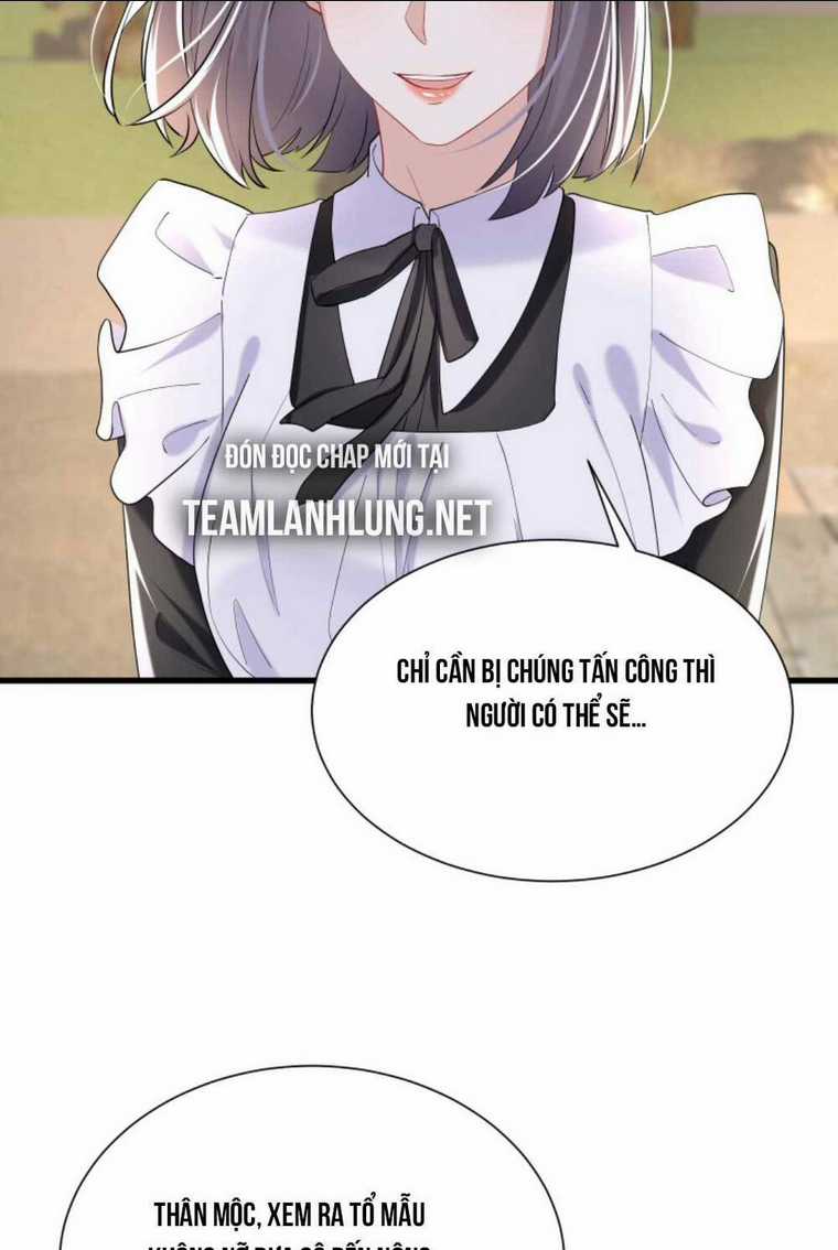 Tái Sinh Trở Lại : Chồng Cũ Khóc Lóc Cầu Xin Tái Hôn Chapter 58 trang 31