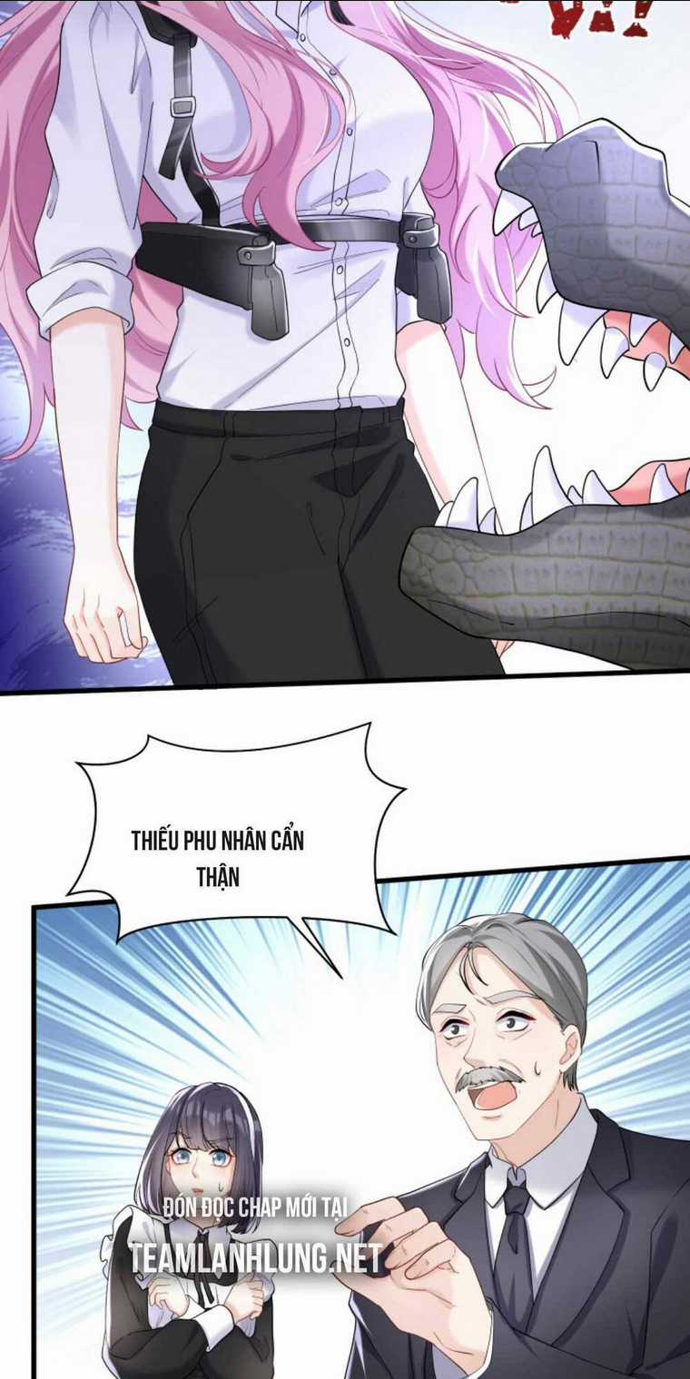 Tái Sinh Trở Lại : Chồng Cũ Khóc Lóc Cầu Xin Tái Hôn Chapter 59 trang 12