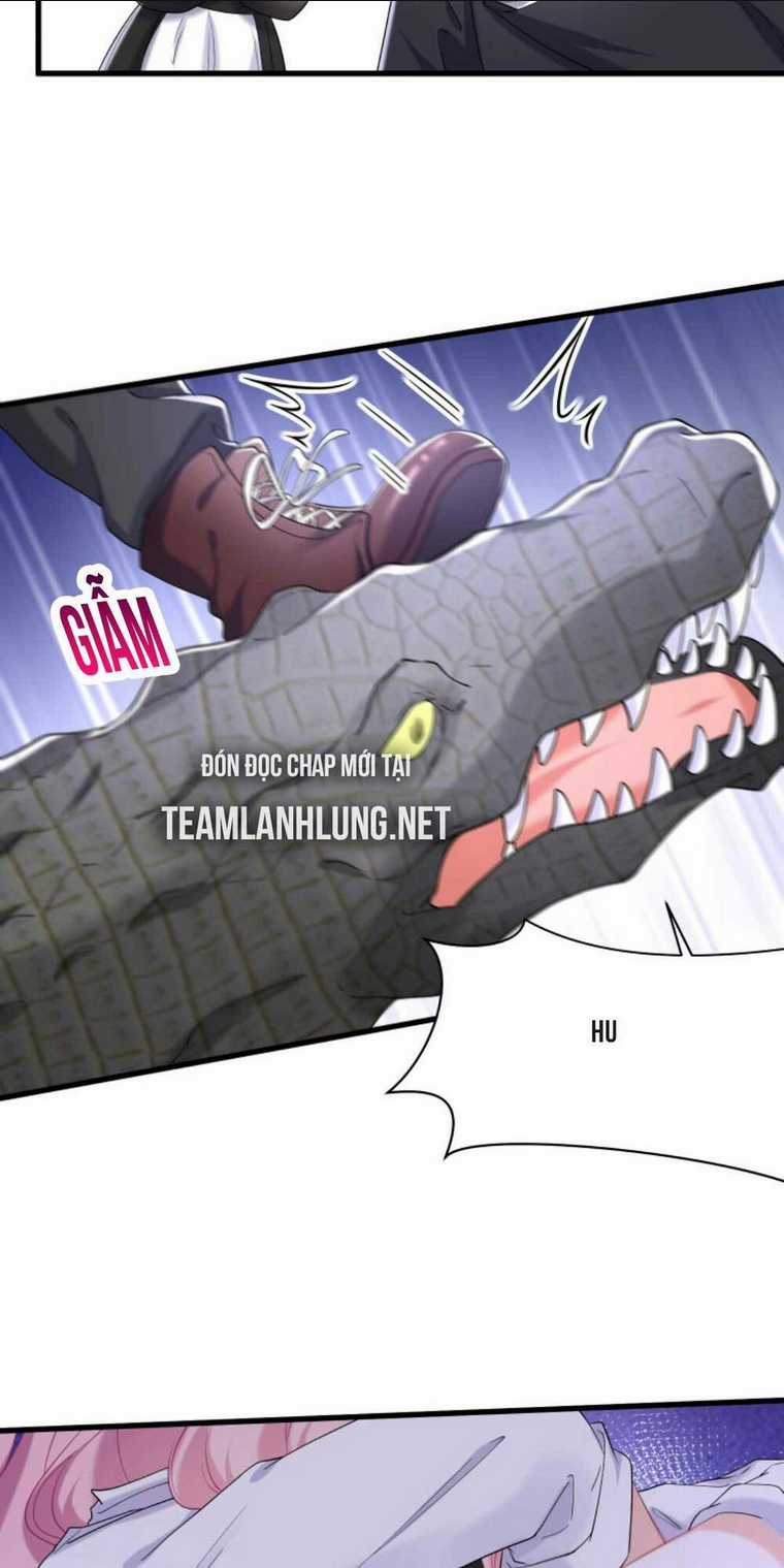 Tái Sinh Trở Lại : Chồng Cũ Khóc Lóc Cầu Xin Tái Hôn Chapter 59 trang 13