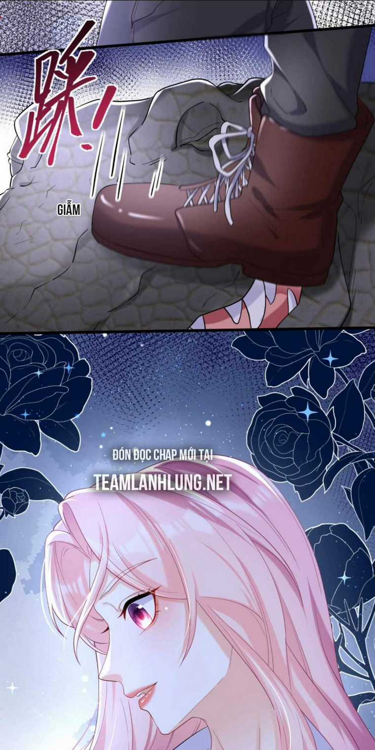 Tái Sinh Trở Lại : Chồng Cũ Khóc Lóc Cầu Xin Tái Hôn Chapter 59 trang 16