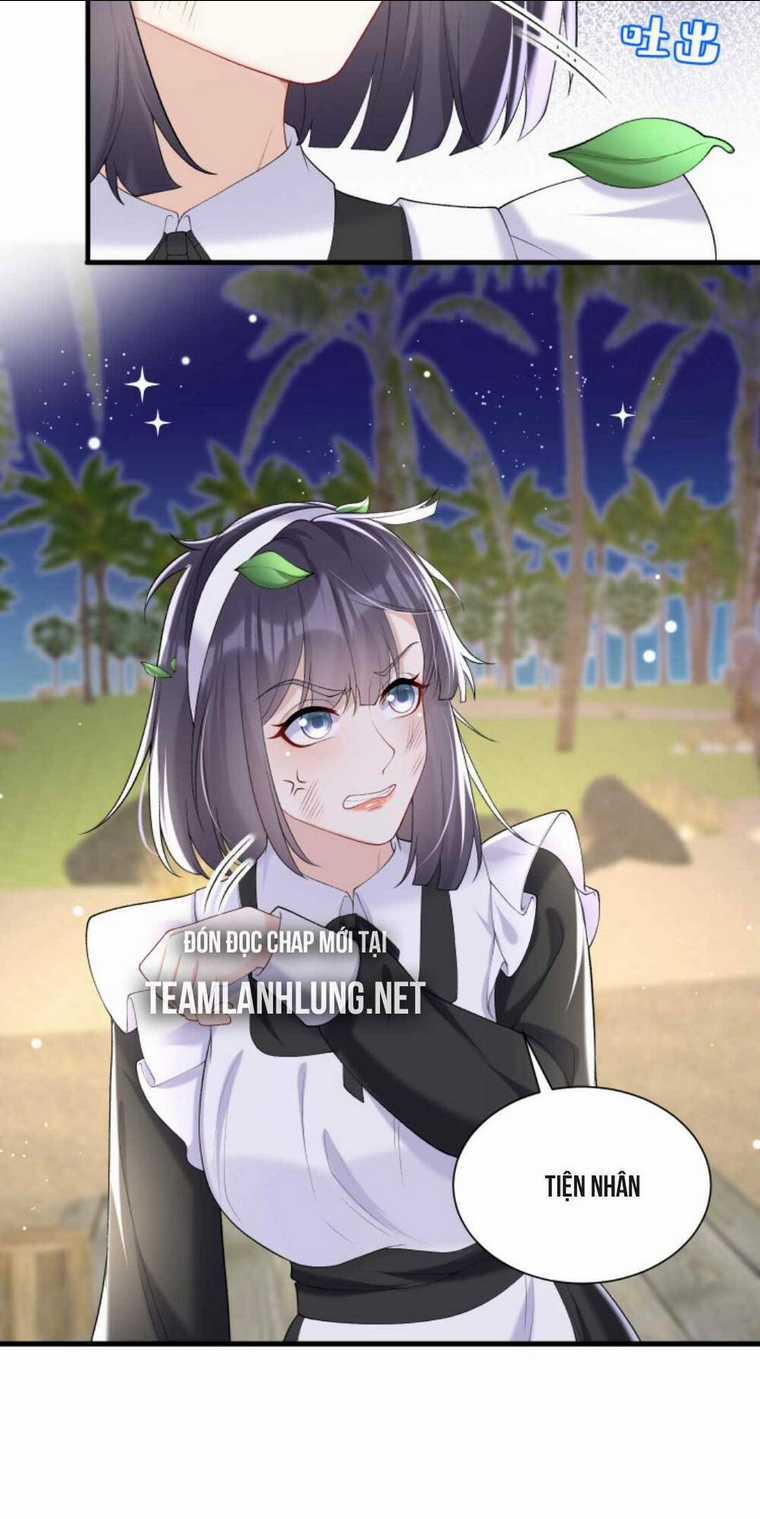 Tái Sinh Trở Lại : Chồng Cũ Khóc Lóc Cầu Xin Tái Hôn Chapter 59 trang 29