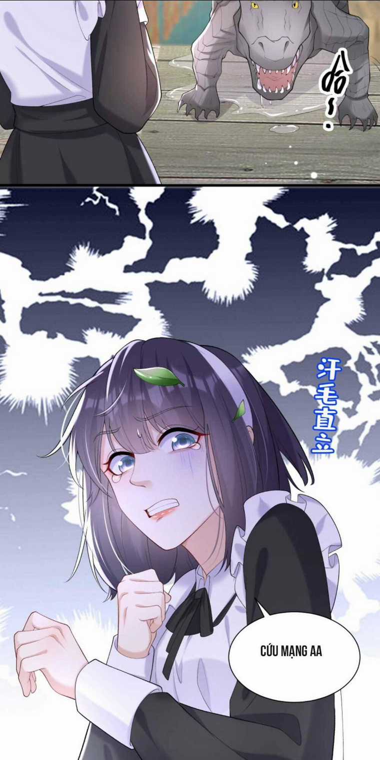 Tái Sinh Trở Lại : Chồng Cũ Khóc Lóc Cầu Xin Tái Hôn Chapter 59 trang 31