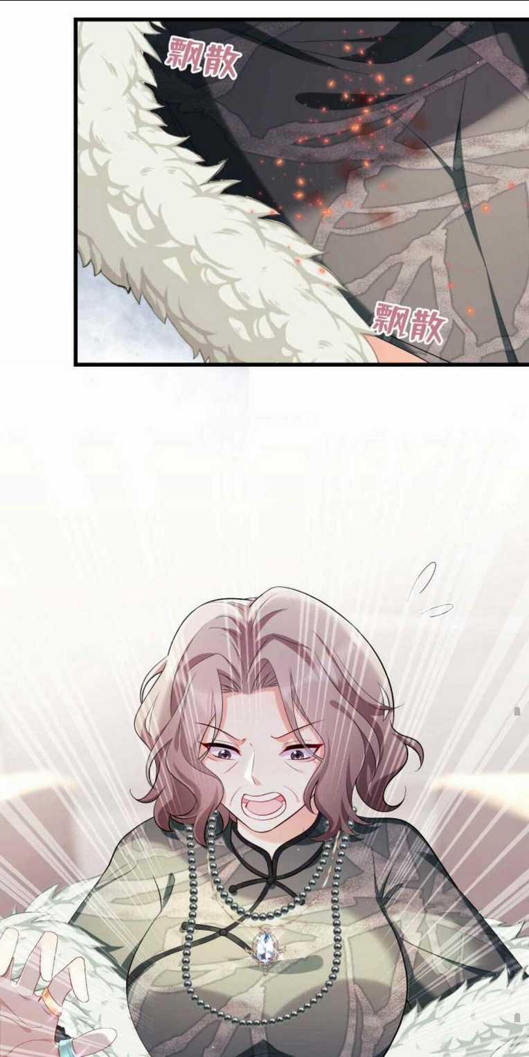 Tái Sinh Trở Lại : Chồng Cũ Khóc Lóc Cầu Xin Tái Hôn Chapter 6 trang 22